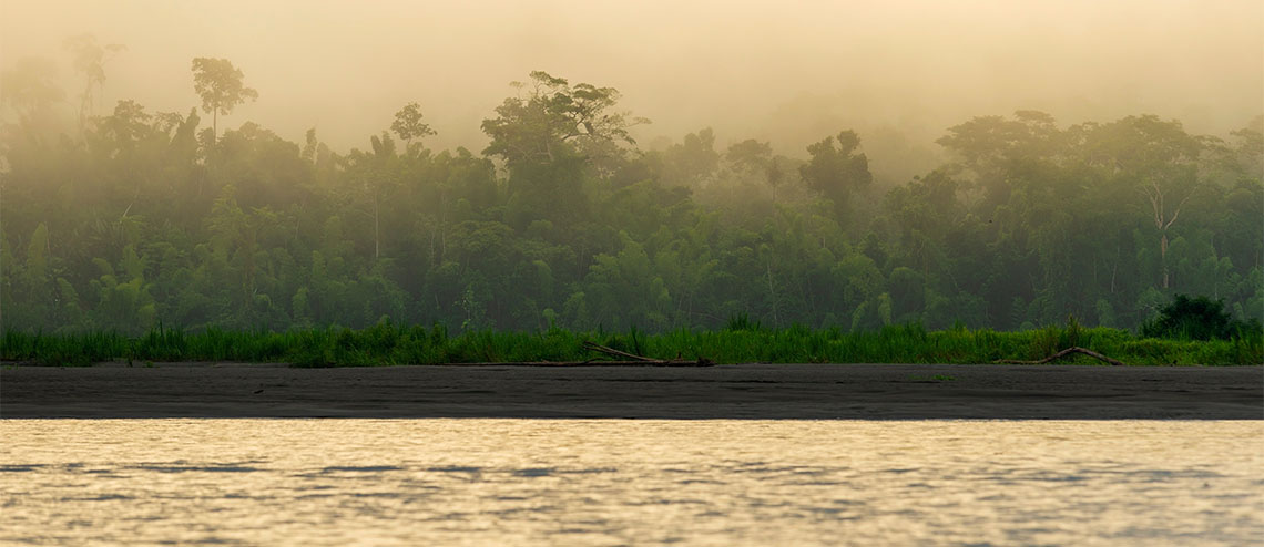 creators markings footer